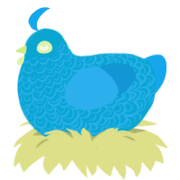 blunt the smoken, a cerulean and sky chicken with a double-lace pattern