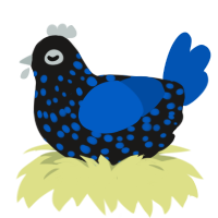 (unnamed), a sable and ultramarine chicken with a speckle pattern