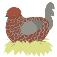 Fall Foliage, a russet and ash chicken with a lace pattern