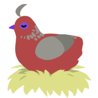 Robert, a red and ash chicken with a neck-speckle pattern