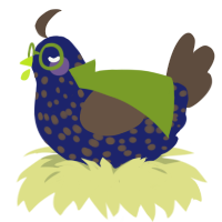 机, a navy and bark chicken with a speckle pattern