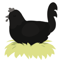 A black and sable chicken with a head pattern