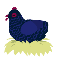 A tumblr and navy chicken with a lace pattern