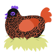 Midnight Frights, a black and vermilion chicken with a double-lace pattern