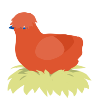 Mixer, a vermilion chicken