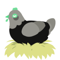A black and ash chicken with a head pattern