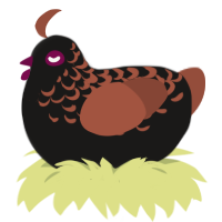 A sable and russet chicken with a half-lace pattern