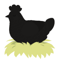 A sable chicken with a lace pattern