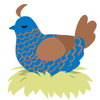 A sapphire and brown chicken with a lace pattern