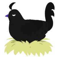A sable and black chicken with a lace pattern
