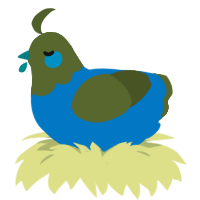 A sapphire and olive chicken with a head pattern