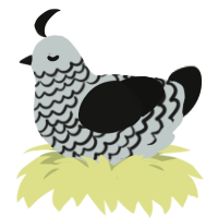 A silver and black chicken with a lace pattern
