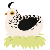 (unnamed), a cream and black chicken with a half-lace pattern