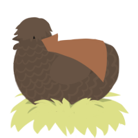 the first turd, a bark chicken with a lace pattern