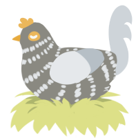 mouse bites, a ash and mist chicken with a bar pattern