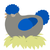 A ash and ultramarine chicken
