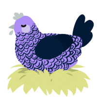 A lilac and tumblr chicken with a double-lace pattern