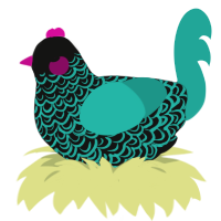Bratz, a black and turquoise chicken with a double-lace pattern