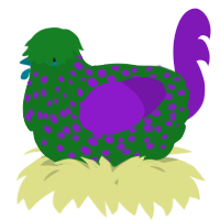 A leaf and violet chicken with a speckle pattern