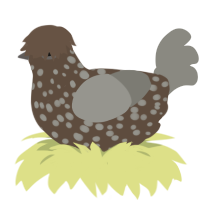 Coal, a bark and ash chicken with a speckle pattern
