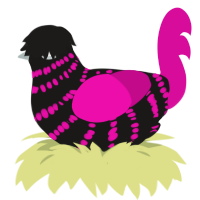 A sable and fuchsia chicken with a bar pattern