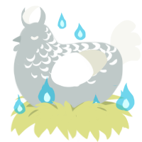Haunted, a silver and white chicken with a half-lace pattern