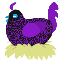 Amethyst, a black and violet chicken with a double-lace pattern