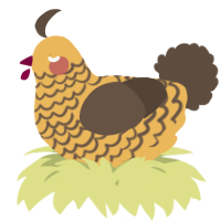 A honey and bark chicken with a lace pattern