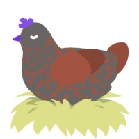 (unnamed), a grey and russet chicken with a speckle pattern