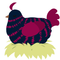 A tumblr and maroon chicken with a bar pattern