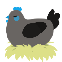 A grey and sable chicken