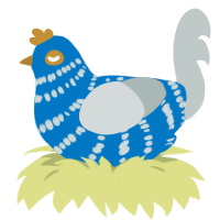 (unnamed), a sapphire and silver chicken with a bar pattern
