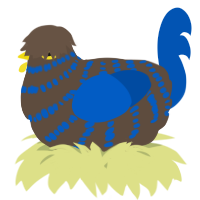 A bark and ultramarine chicken with a bar pattern