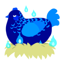 cordon bleu, a navy and sapphire chicken with a half-lace pattern