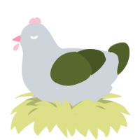 A mist and olive chicken