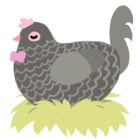 Gourd, a grey and ash chicken with a lace pattern