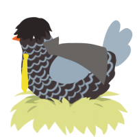 The Masked Chicken, a silver and bark chicken with a lace pattern