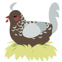 A bark and silver chicken with a half-lace pattern