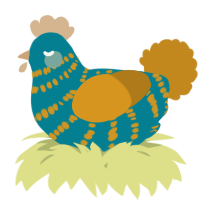 A sea and ochre chicken with a bar pattern