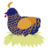 Navybale, a navy and orange chicken with a lace pattern