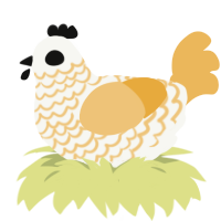 Aya, a white and honey chicken with a lace pattern