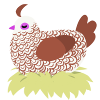 Patience, a white and russet chicken with a double-lace pattern
