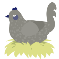 A ash chicken with a speckle pattern