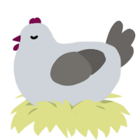birthday 2, a mist and grey chicken