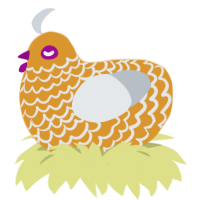 Iota, a orange and mist chicken with a lace pattern