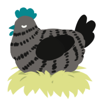 A grey and black chicken with a bar pattern