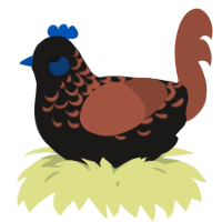 A sable and russet chicken with a half-lace pattern