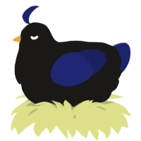 A sable and navy chicken
