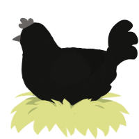 DARKNESS 2, a black chicken with a lace pattern