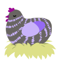 hypotenuse, a grey and lilac chicken with a bar pattern